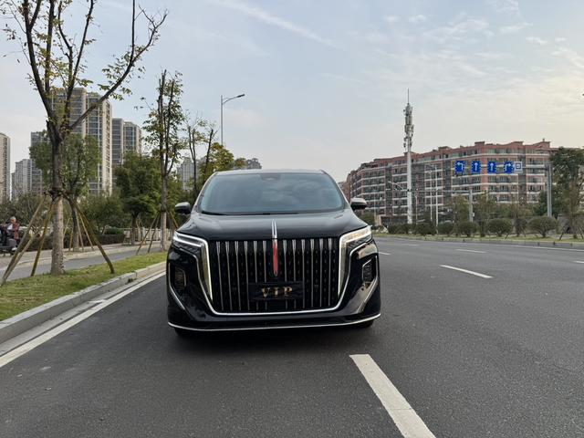 HongQi HQ9 2023 car image #3
