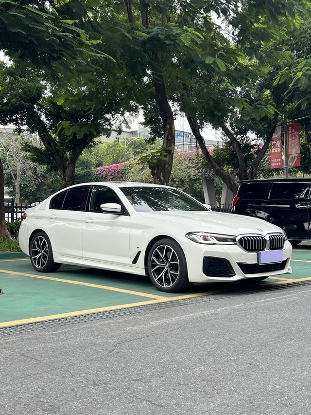 BMW 5 Series (Imported) 2021 imagem de carro #3