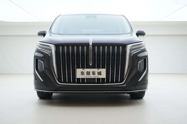 HongQi HQ9 2023 immagine di auto #3