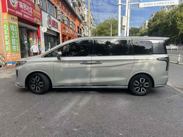 HongQi HQ9 2022 immagine di auto #3