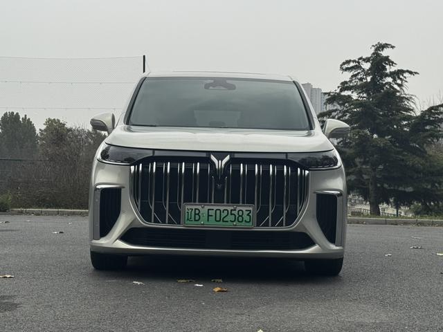 岚图汽车 岚图梦想家 2022 汽车图片 #3