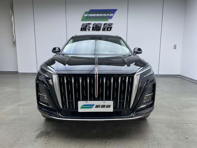 HongQi HS3 2024 car image #3