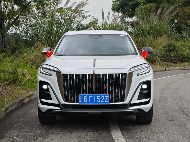 HongQi HS3 2023 car image #3