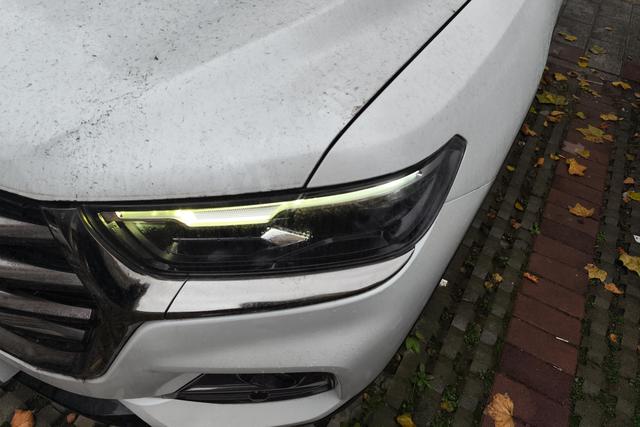 Haval H6 2021 car image #3