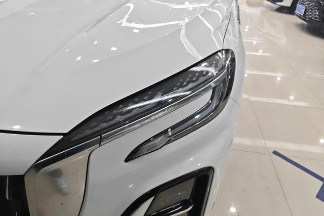 HongQi HS3 2023 immagine di auto #3