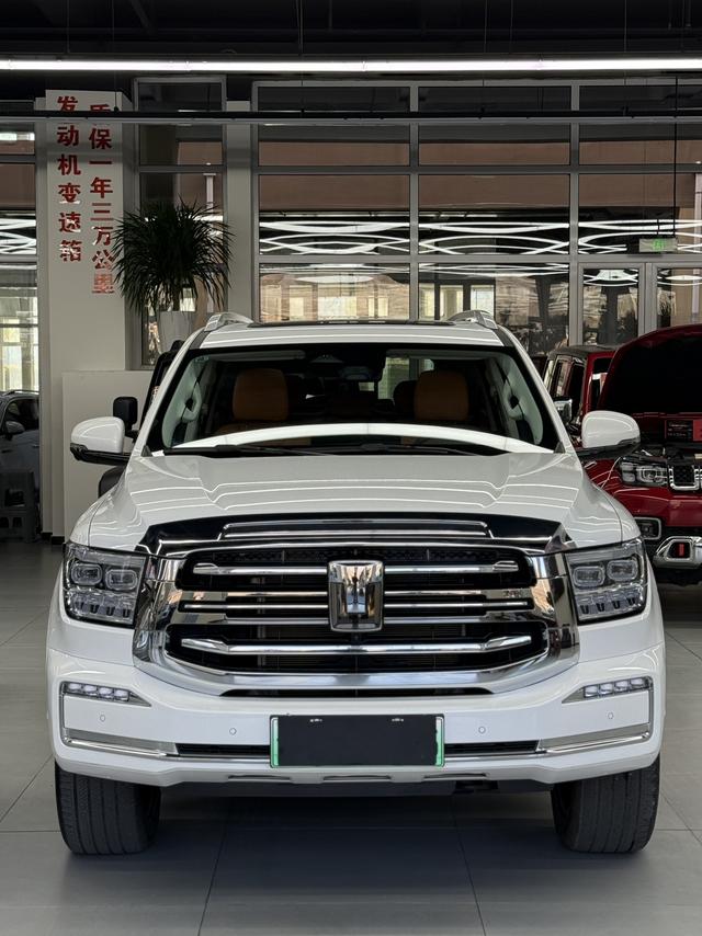 Tank 500 2024 car image #3