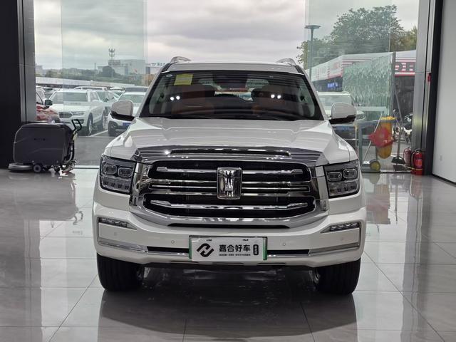 Tank 500 2024 car image #3