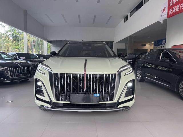 HongQi HS3 2024 car image #3