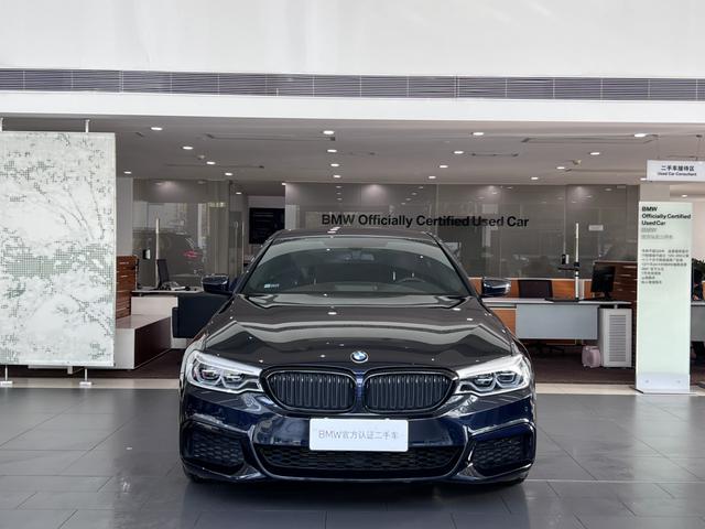 BMW 5 Series (Imported) 2019 #3 BMW 5 Series (Imported) 2019 car image #3