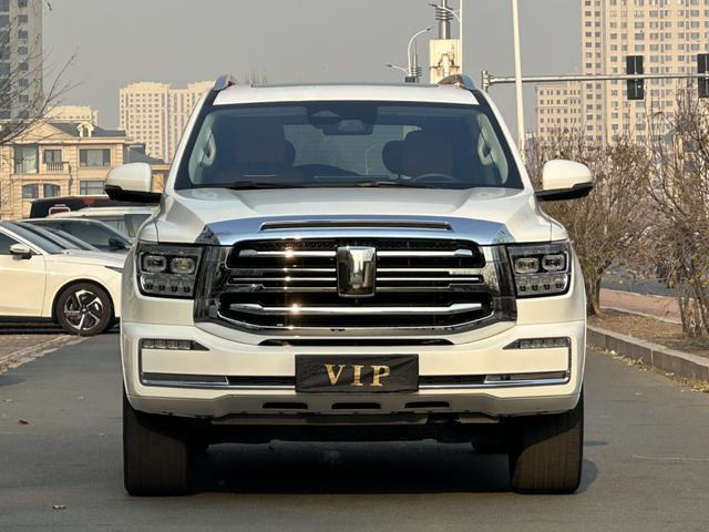 Tank 500 2024 car image #3