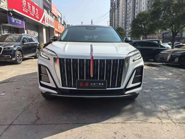HongQi HS3 PHEV 2024 immagine di auto #3