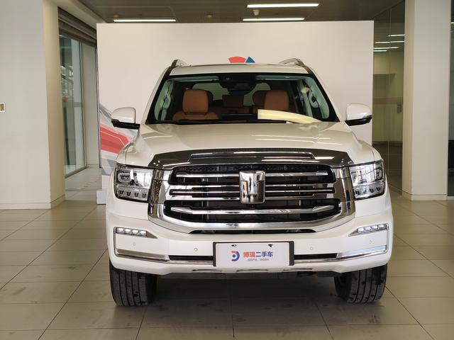 Tank 500 2024 car image #3