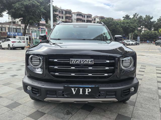 Haval X Dog / Dargo 2021 car image #3