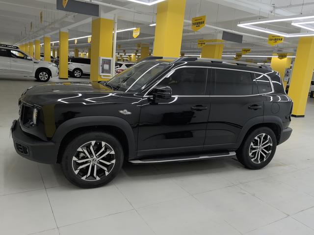 Haval X Dog / Dargo 2021 #3 Haval X Dog / Dargo 2021 car image #3