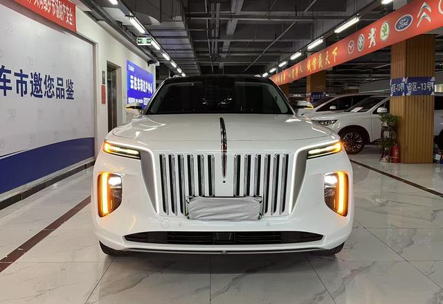 HongQi E-HS9 2022 #3 HongQi E-HS9 2022 car image #3