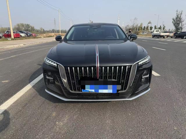 HongQi E-HS3 2025 #3 HongQi E-HS3 2025 car image #3
