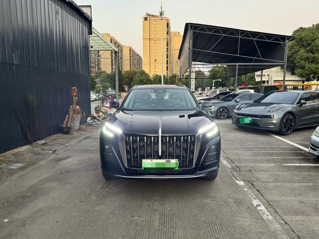 HongQi HS3 PHEV 2025 #3 HongQi HS3 PHEV 2025 car image #3