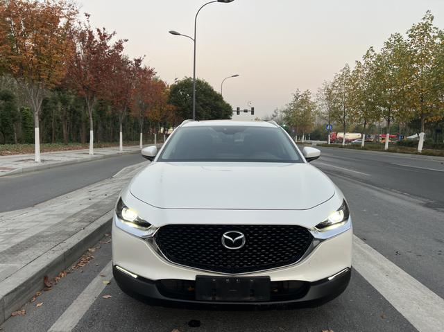 Mazda CX-30 EV 2021 image de voiture #3