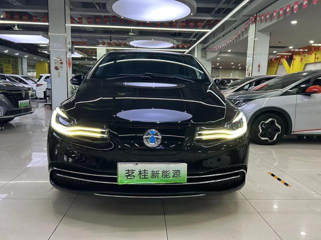 Denza DENZA 2018 car image #3