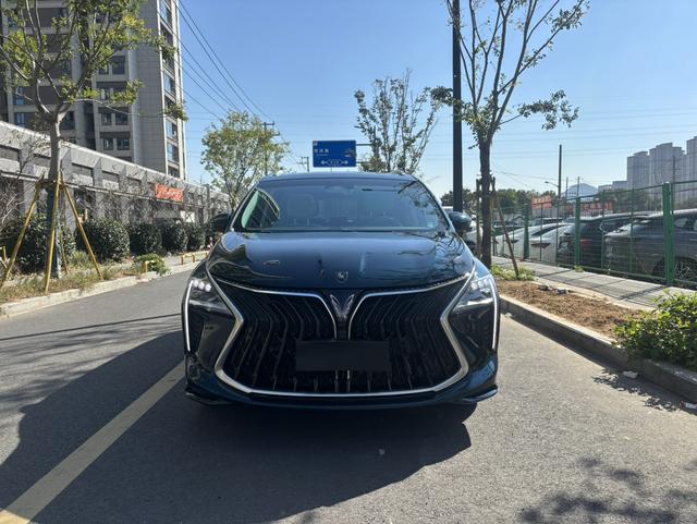 Forthing Yacht 2023 #3 Forthing Yacht 2023 car image #3