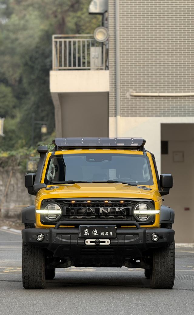 Tank 300 2022 imagen de coche #3