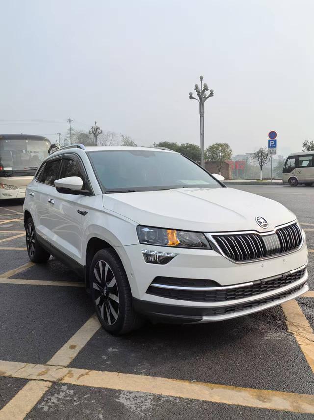 Skoda Karoq 2021 car image #3