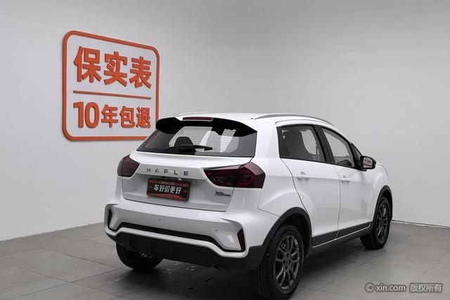 睿蓝汽车 睿蓝汽车X3 PRO 2023 汽车图片 #3