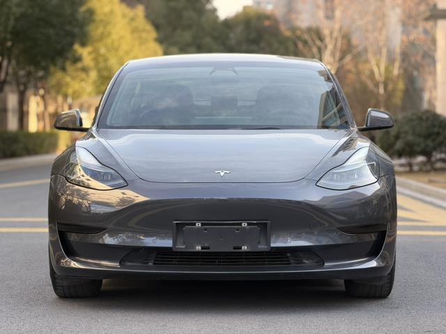 Tesla Model 3 2020 car image #3