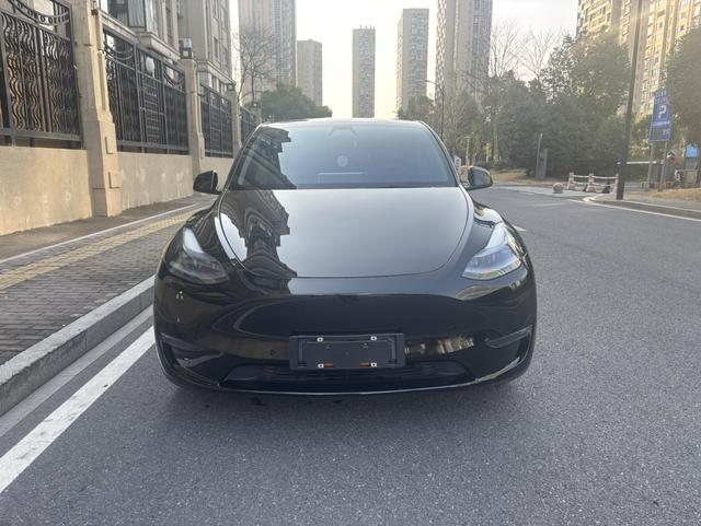 Tesla 2021 immagine di auto #3