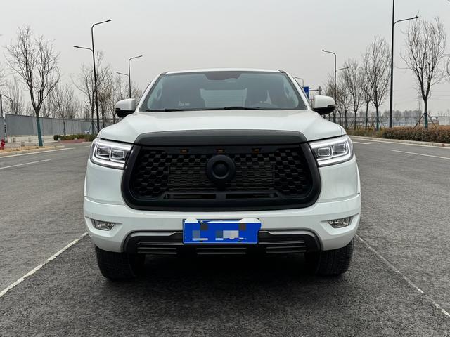 Great Wall Poer 2023 car image #3