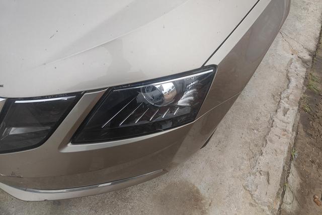 Skoda Octavia 2018 car image #3