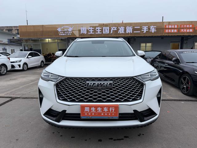 Haval 2021 immagine di auto #3