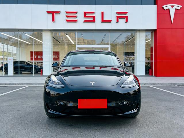 Tesla Model Y 2023 car image #3