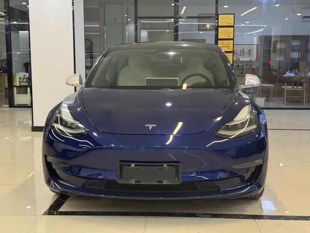 Tesla Model 3 2020 #3 Tesla Model 3 2020 car image #3
