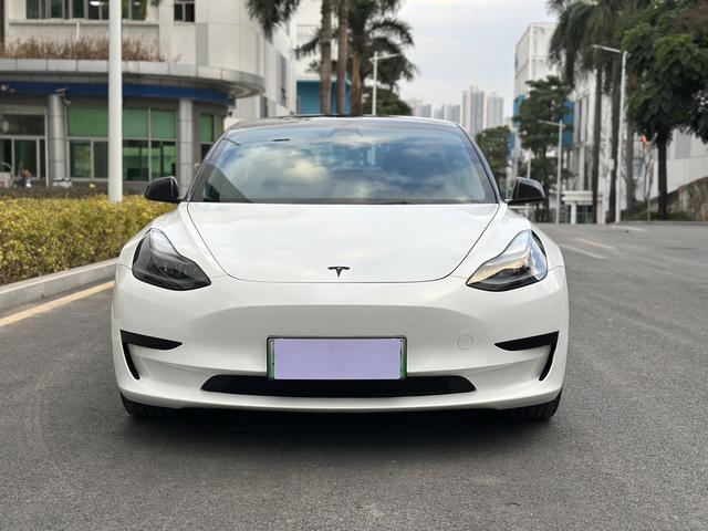 Tesla Model 3 2022 car image #3
