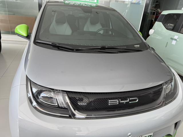 BYD Dolphin 2022 #3 BYD Dolphin 2022 car image #3