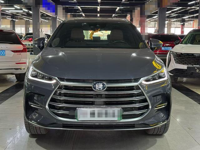 BYD Tang New Energy 2021 car image #3