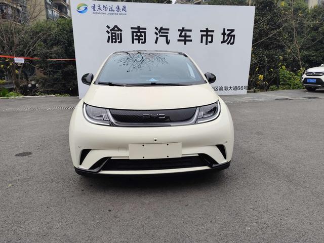 BYD Dolphin 2023 car image #3
