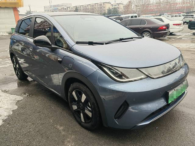 BYD Dolphin 2025 car image #3