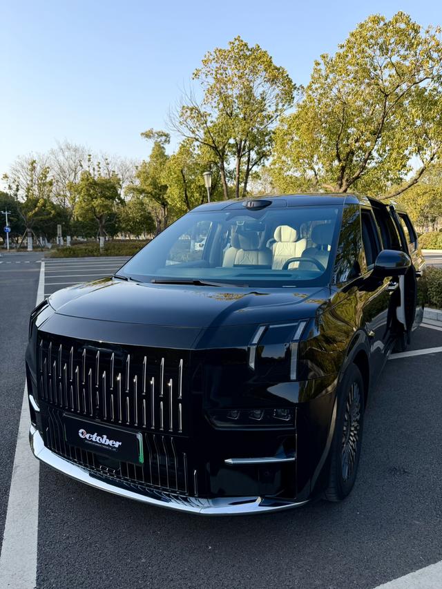 极氪 极氪009 2024 汽车图片 #3