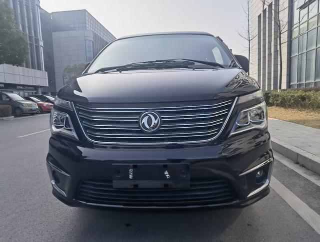 Forthing Lingzhi 2019 immagine di auto #3