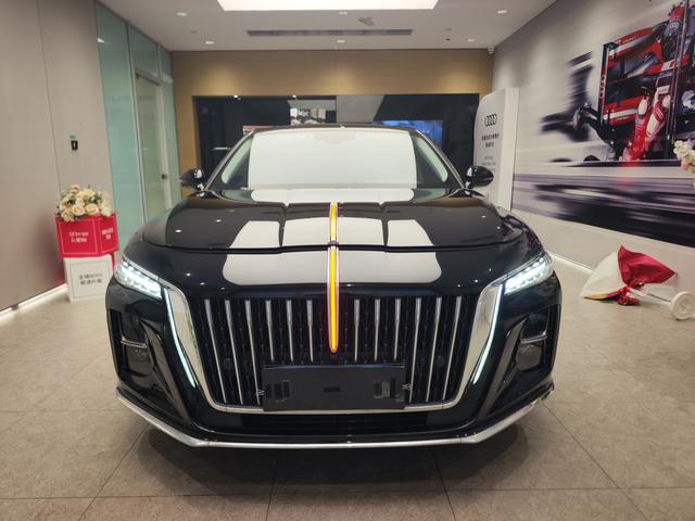 HongQi H5 2022 immagine di auto #3