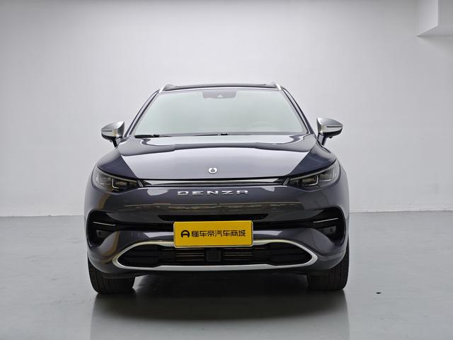 Denza 2021 imagem de carro #3