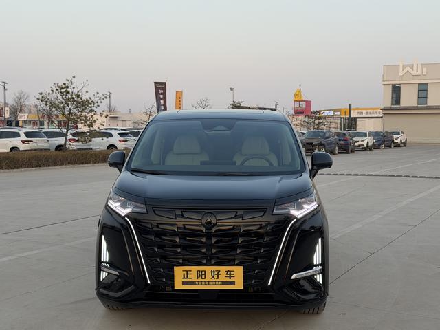 Denza D9 2023 imagem de carro #3