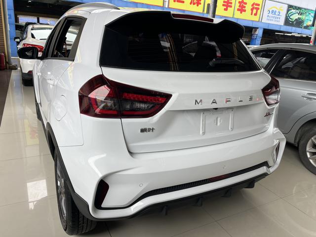 睿蓝汽车 睿蓝汽车X3 PRO 2023 汽车图片 #3