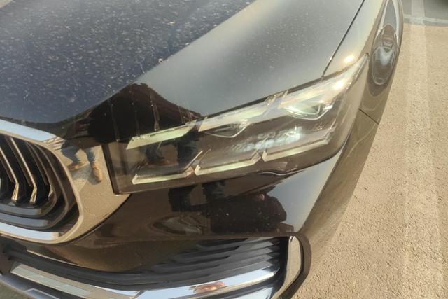 GEELY Monjaro 2021 immagine di auto #3