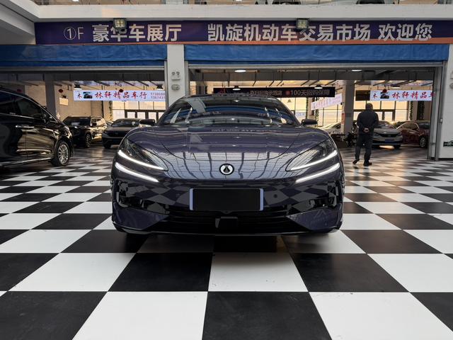 Denza 2024 imagem de carro #3