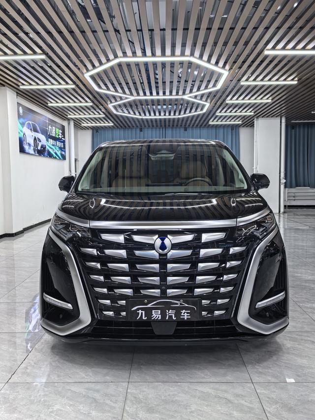 Denza D9 2023 imagen de coche #3