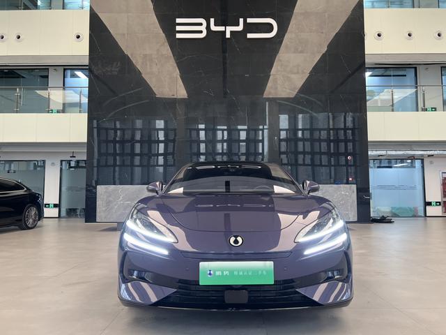 Denza 2024 immagine di auto #3