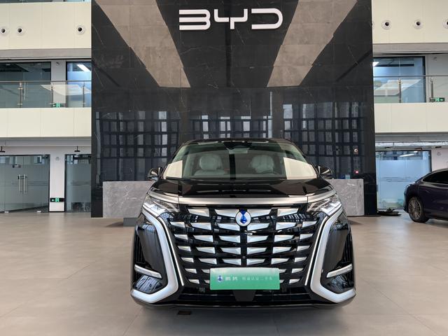 腾势 腾势D9 2024 汽车图片 #3